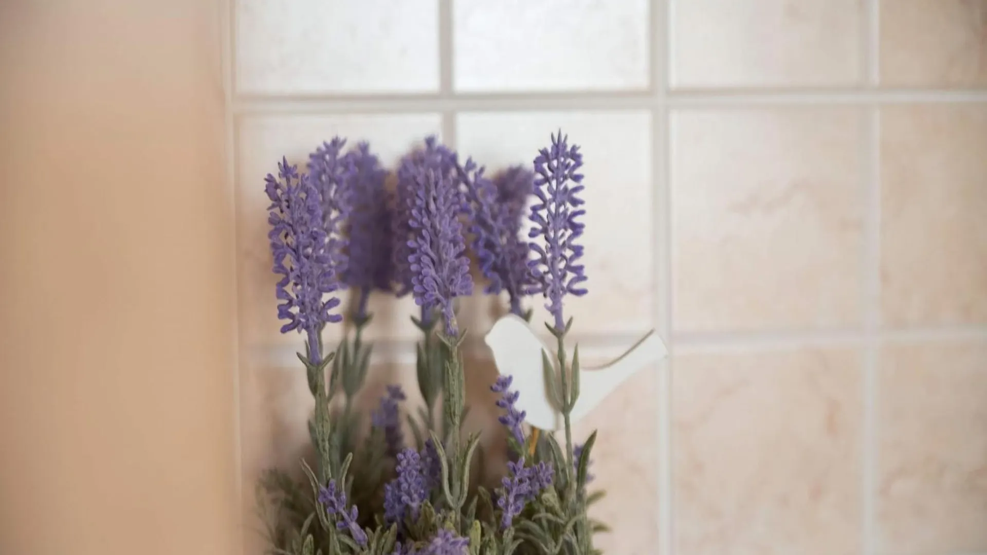Splendid Apartment With Bubble Bath In Crikvenica Croatia Hırvatistan