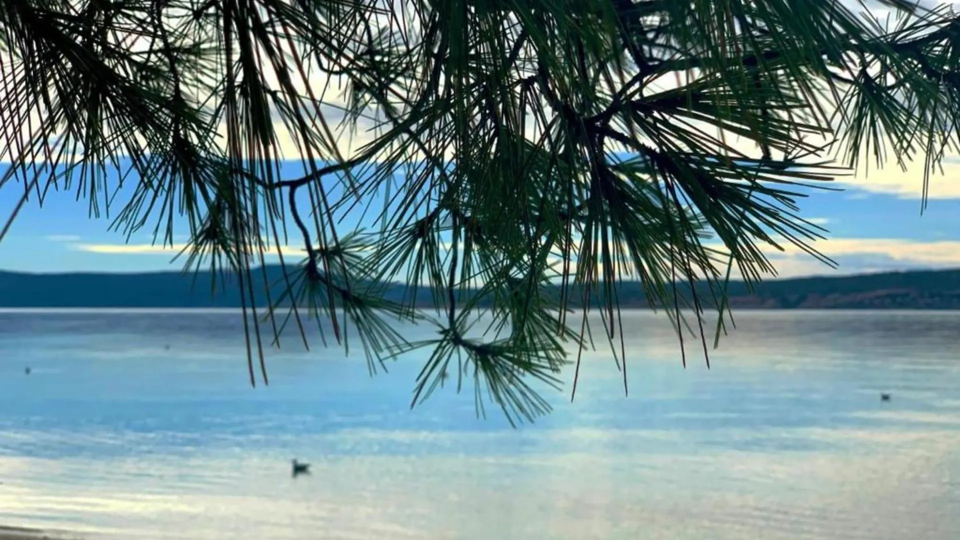 Splendid Apartment With Bubble Bath In Crikvenica Croatia